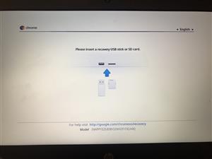 Newer Chrome 